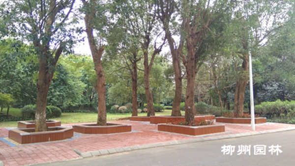 《夏花》为何让全网失眠？绝症百家乐官网链接少女与落魄大叔的禁忌之恋藏着最狠的人性真相