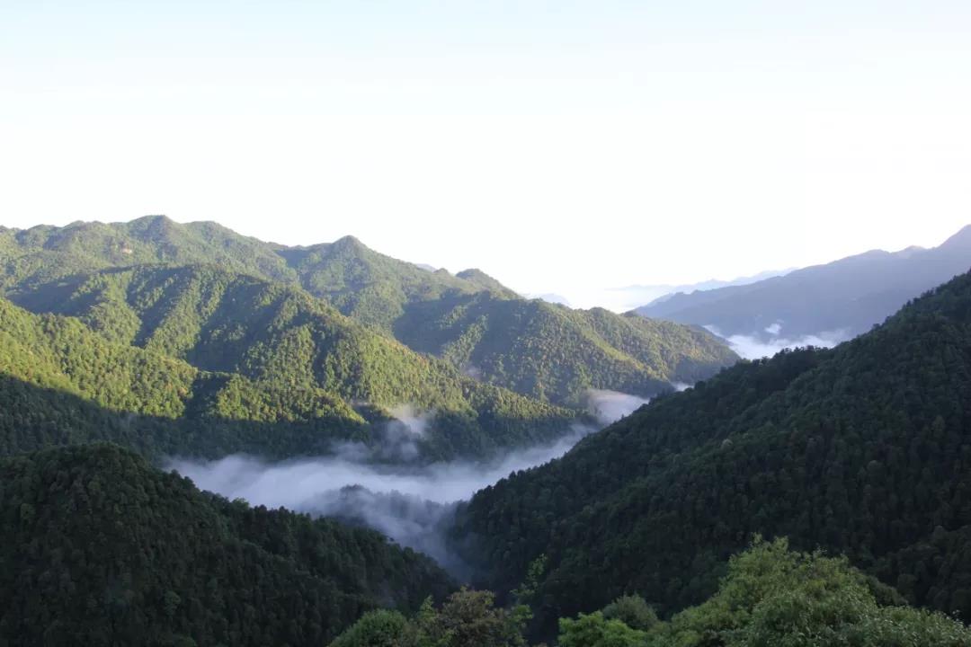 广西花坪国家自然保护区——广西东北部的亮丽名片