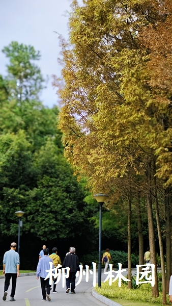 02.jpg