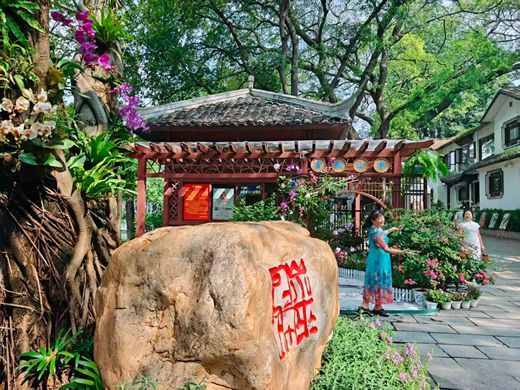 柳州市林业和园林局举办“古韵山水・兰草芳馨”兰花花事活动