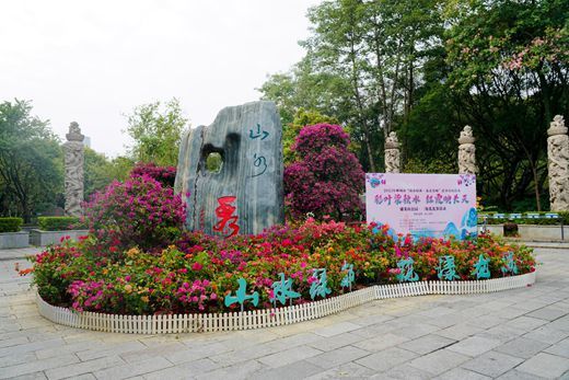 柳州市“每月一花事”三角花展在蟠龙山公园开展