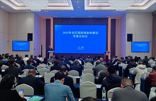 2025年全区国家储备林建设年度总结会在柳州市召开