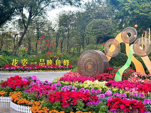 柳州市举办“花‘姿’一品映鱼峰”主题花事活动