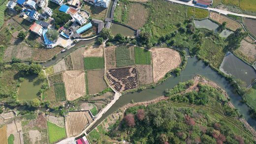 柳州市新增2处小微湿地保护修复示范点