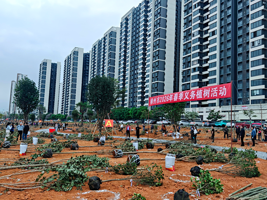 柳州市开展2026年春季义务植树活动