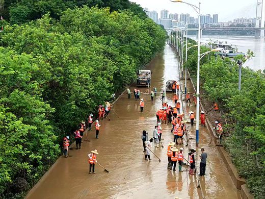 水退人进！柳州市林业和园林系统全面开展清淤消杀作业