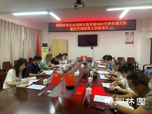 柳州市开展2025年林长制工作年中专项督查