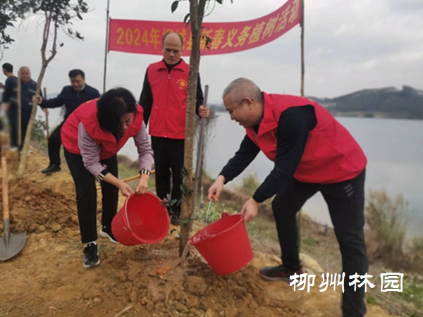 柳城县举行新春义务植树活动